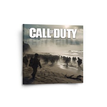 Obraz Call of Duty Normandie