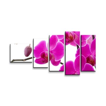 Obraz - 5-dílný Fialové orchideje