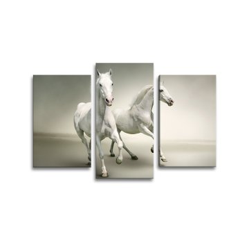 Obraz - 3-dílný Dva bílí koně