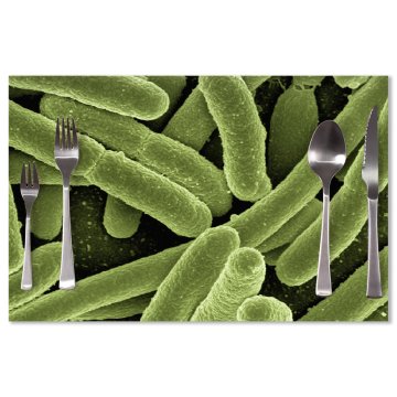 Prostírání Bakterie: 40x30cm