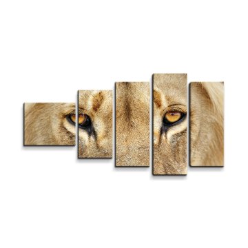 Obraz - 5-dílný Pohled lvice