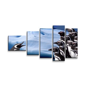 Obraz - 5-dílný Tučňáci