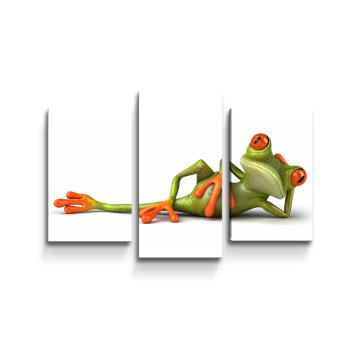 Obraz - 3-dílný Ležící žába