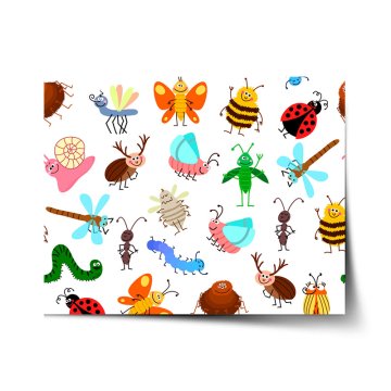 Plakát Hmyz