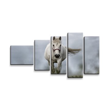 Obraz - 5-dílný Bílý kůň 3