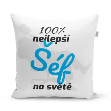 Polštář 100% nejlepší šéf na světě: 40x40 cm