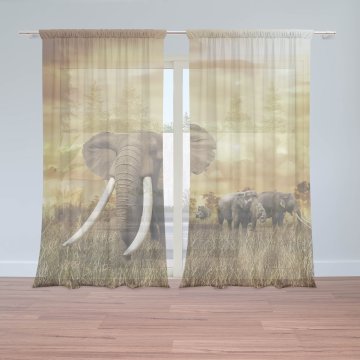 Záclony Slon Africký: 2ks 150x250cm