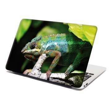 Samolepka na notebook Chameleon
