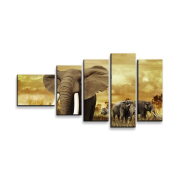 Obraz - 5-dílný Slon Africký