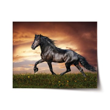 Plakát Friský kůň