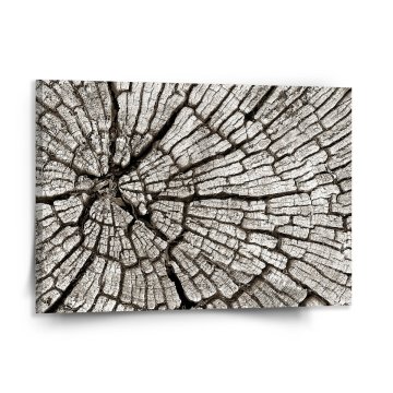 Obraz Dřevo