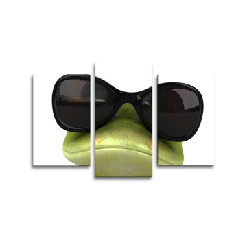 Obraz - 3-dílný Žába v brýlích