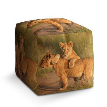Taburet Cube Lvíčata: 40x40x40 cm
