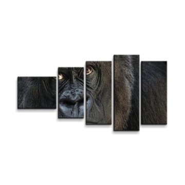 Obraz - 5-dílný Gorila