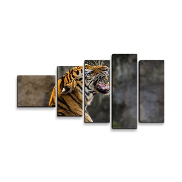 Obraz - 5-dílný Řvoucí tygr