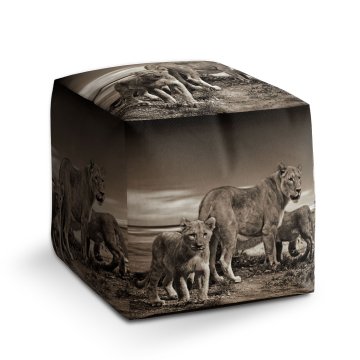 Taburet Cube Lvice a lvíčata: 40x40x40 cm