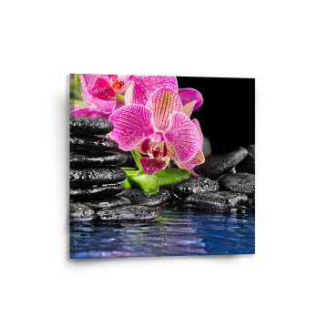 Obraz Orchidej na kamenech