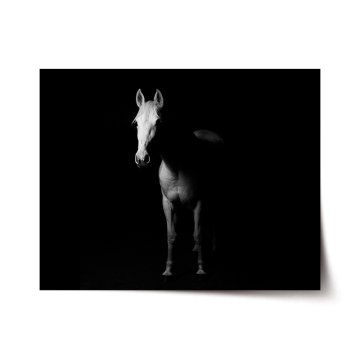 Plakát Kůň ve stínu