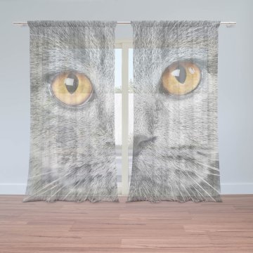 Záclony Kočičí pohled: 2ks 150x250cm