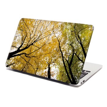 Samolepka na notebook Koruny stromů