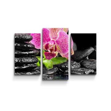 Obraz - 3-dílný Orchidej na kamenech