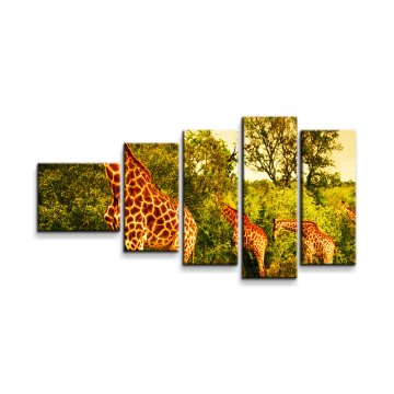 Obraz - 5-dílný Žirafy