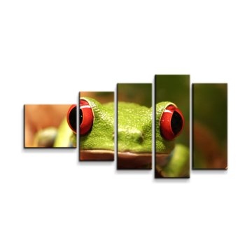 Obraz - 5-dílný Zelená žába