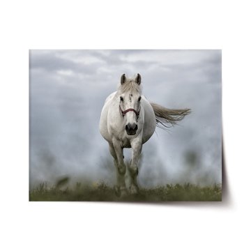 Plakát Bílý kůň 3