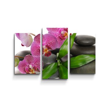 Obraz - 3-dílný Orchideje a kameny