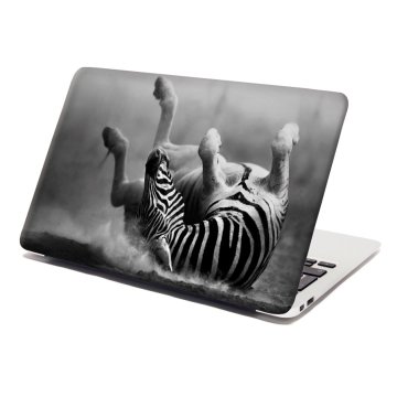Samolepka na notebook Válející se zebra