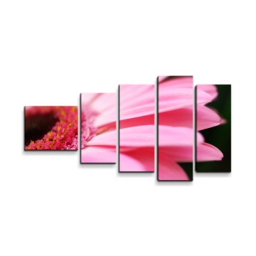 Obraz - 5-dílný Růžová gerbera
