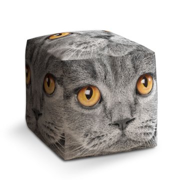 Taburet Cube Kočičí pohled: 40x40x40 cm