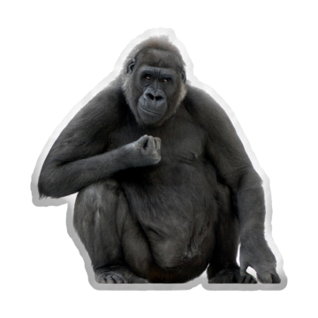 3D polštář ve tvaru Gorila