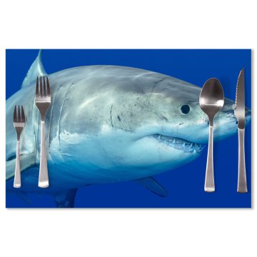 Prostírání Žralok: 40x30cm