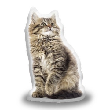 3D polštář ve tvaru Chlupatá kočička