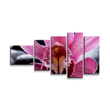 Obraz - 5-dílný Růžová orchidea