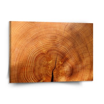 Obraz Dřevo 2