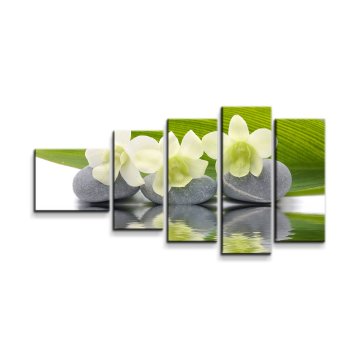 Obraz - 5-dílný Bílá orchidej