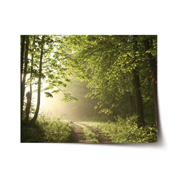 Plakát Lesní cesta
