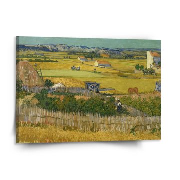 Obraz Sklizeň - Vincent van Gogh