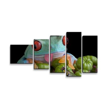 Obraz - 5-dílný Veselá žába
