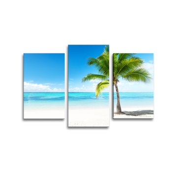 Obraz - 3-dílný Palma na pláži