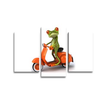 Obraz - 3-dílný Žába na motorce